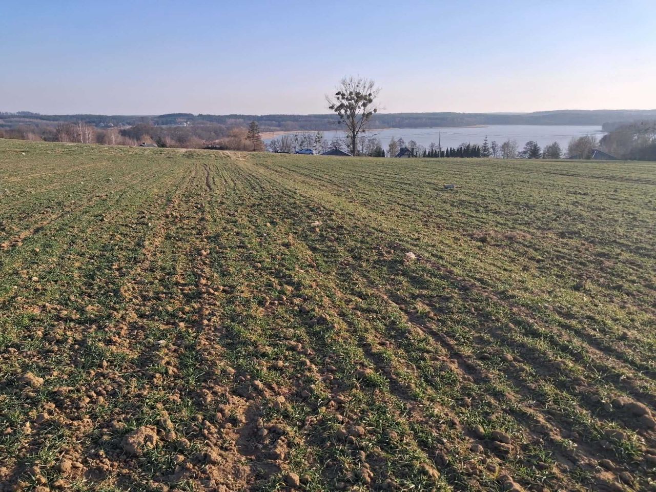 Działka rolno-budowlana Żałe. Zdjęcie 2