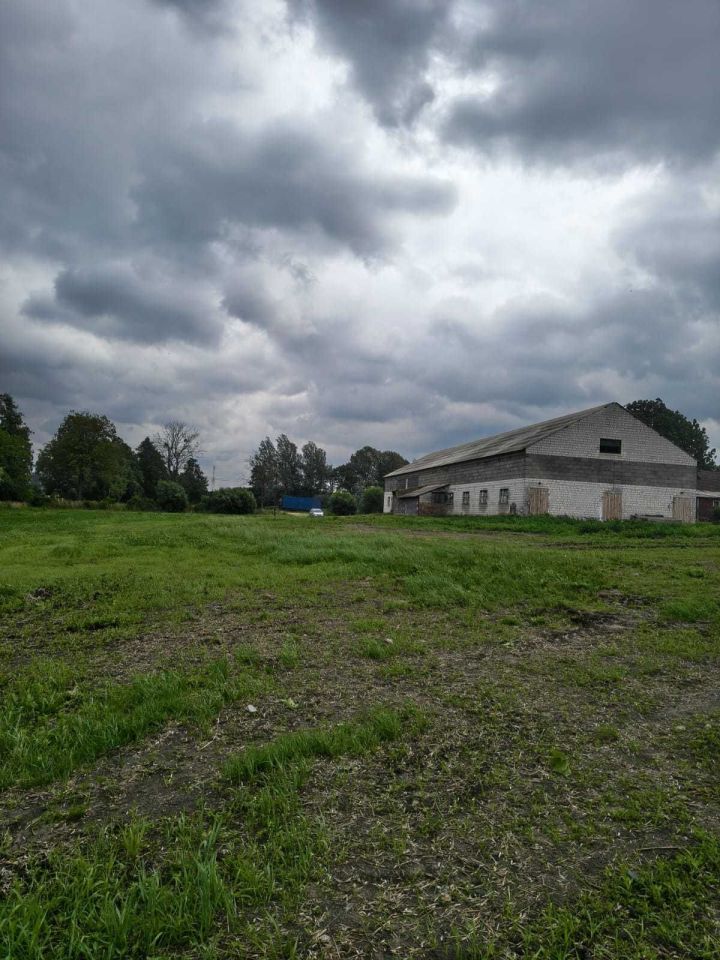 Działka rolno-budowlana Kiszkowo. Zdjęcie 2