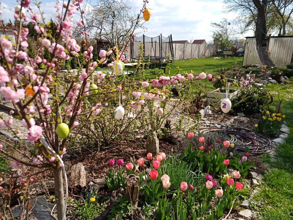 Mieszkanie 3-pokojowe Głogówek Winiary, ul. Fabryczna. Zdjęcie 12