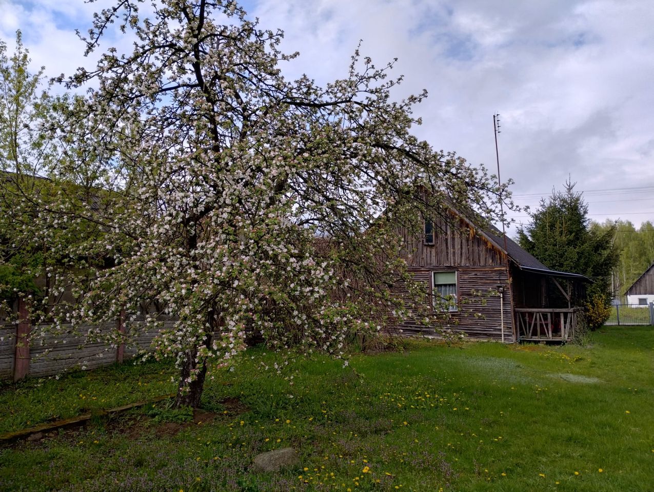 Działka budowlana Ugniewo, ul. Szkolna. Zdjęcie 7