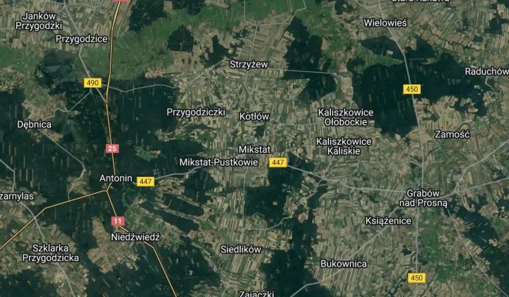 Działka rolna Antonin, ul. Mikstacka