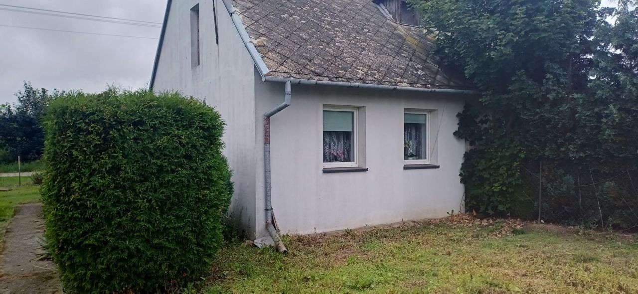 bliźniak Krzeczanowo