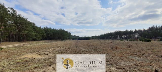 Działka budowlana Czersk, ul. Tucholska. Zdjęcie 15