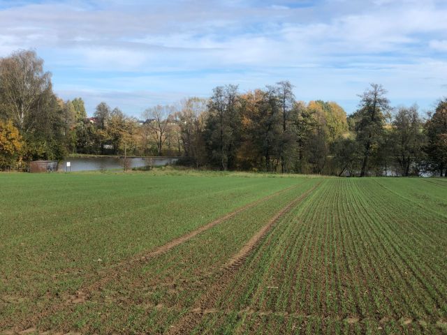 Działka rolno-budowlana Stara Wieś Stara Wieś Dolna, ul. Lipowa. Zdjęcie 7