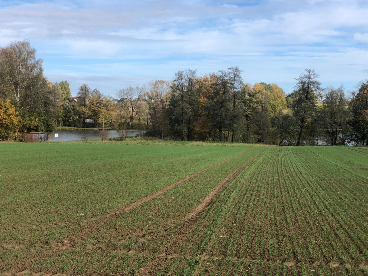Działka rolno-budowlana Stara Wieś Stara Wieś Dolna, ul. Lipowa. Zdjęcie 7