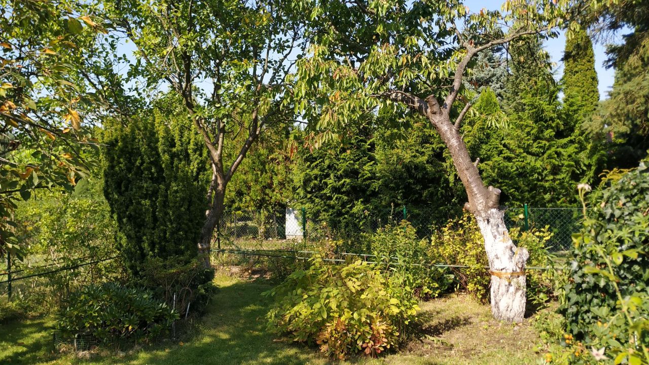 Działka rod Piła Gładyszewo, ul. Polna. Zdjęcie 9