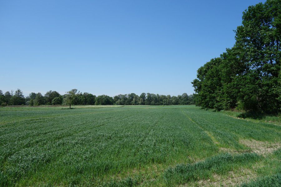 Działka rolna Ochaby Małe Bagna. Zdjęcie 3