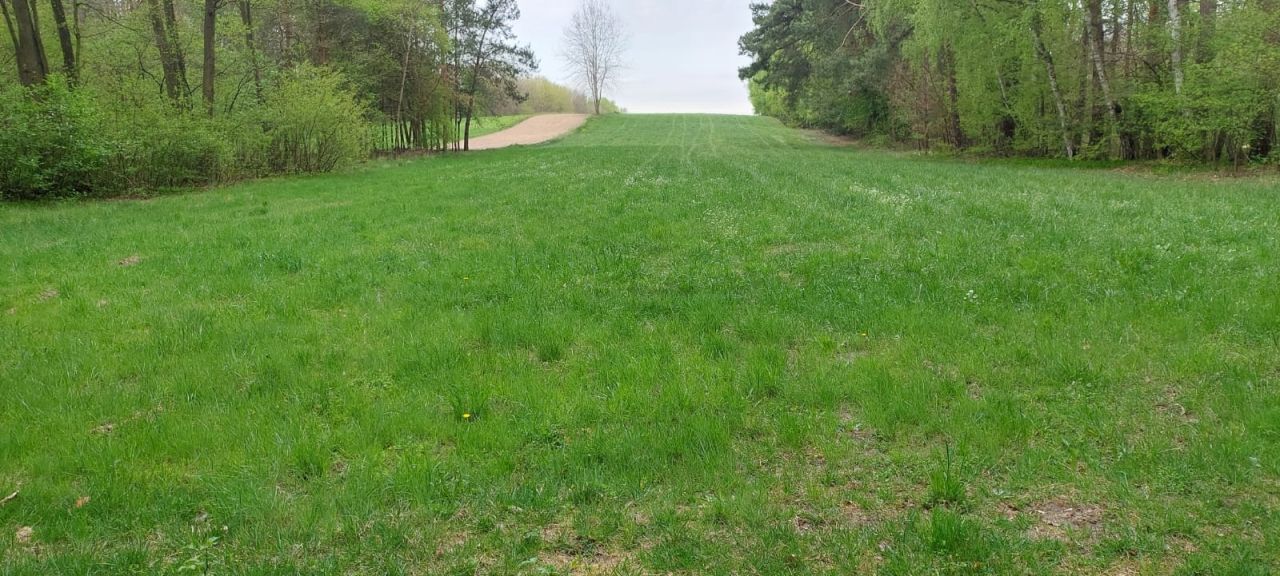 Działka rolna Budy Iłowskie. Zdjęcie 4