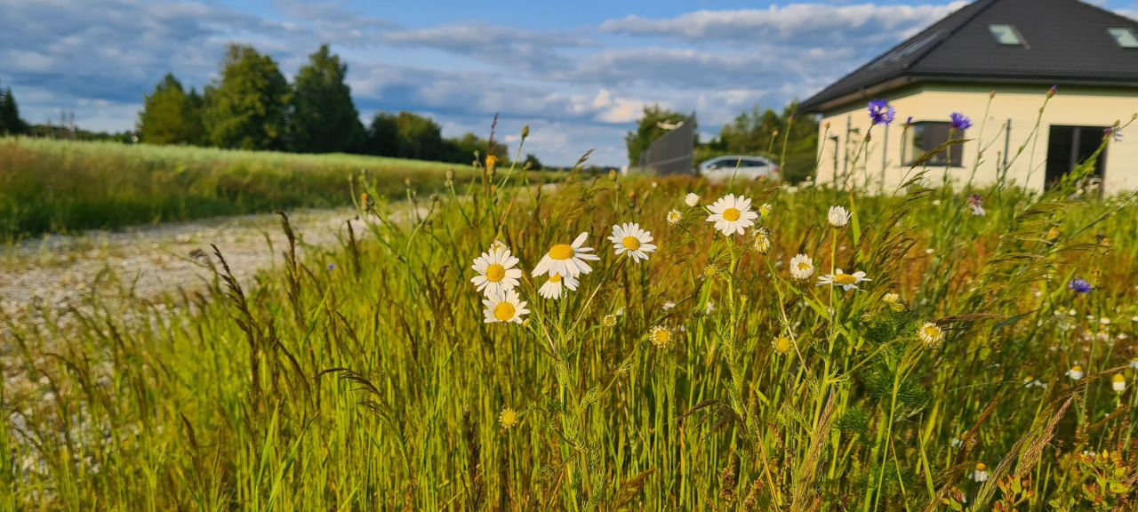 Działka budowlana Leśne Odpadki