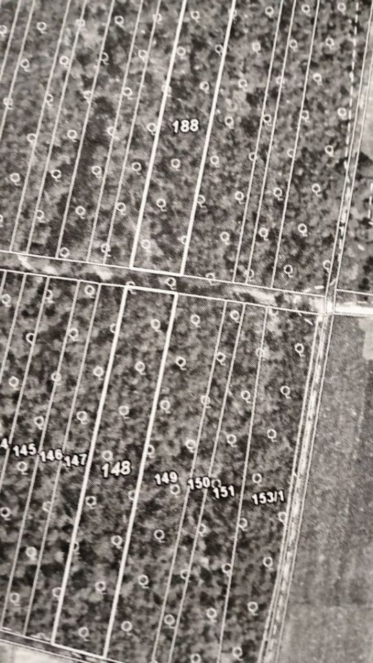 Działka leśna Karczów. Zdjęcie 3