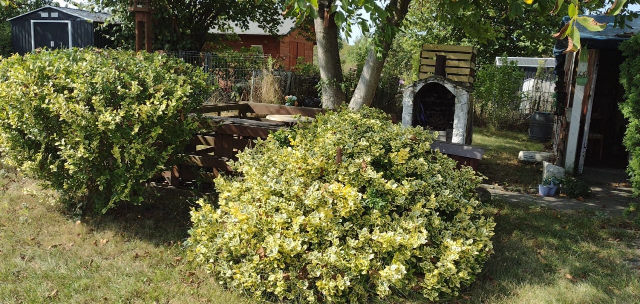 Działka rod Gliwice Ligota Zabrska. Zdjęcie 5