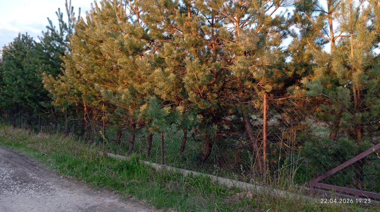 Działka budowlana Zduńska Wola Kolonia Karsznice, ul. Sportowa. Zdjęcie 2