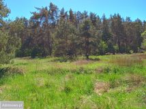 Działka budowlana Smołdzino, ul. Jeziorna. Zdjęcie 2