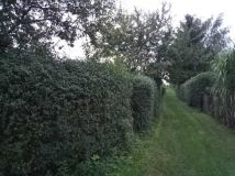 Działka rod Lidzbark Warmiński, ul. Rolna. Zdjęcie 4