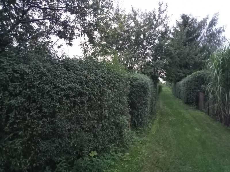 Działka rod Lidzbark Warmiński, ul. Rolna. Zdjęcie 5