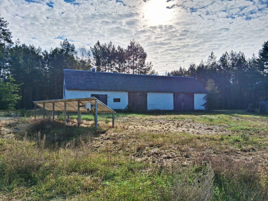 Działka siedliskowa Krusza. Zdjęcie 5