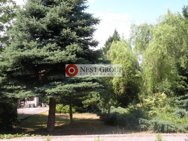 Działka budowlana Warszawa Białołęka, ul. Stasinek. Zdjęcie 8