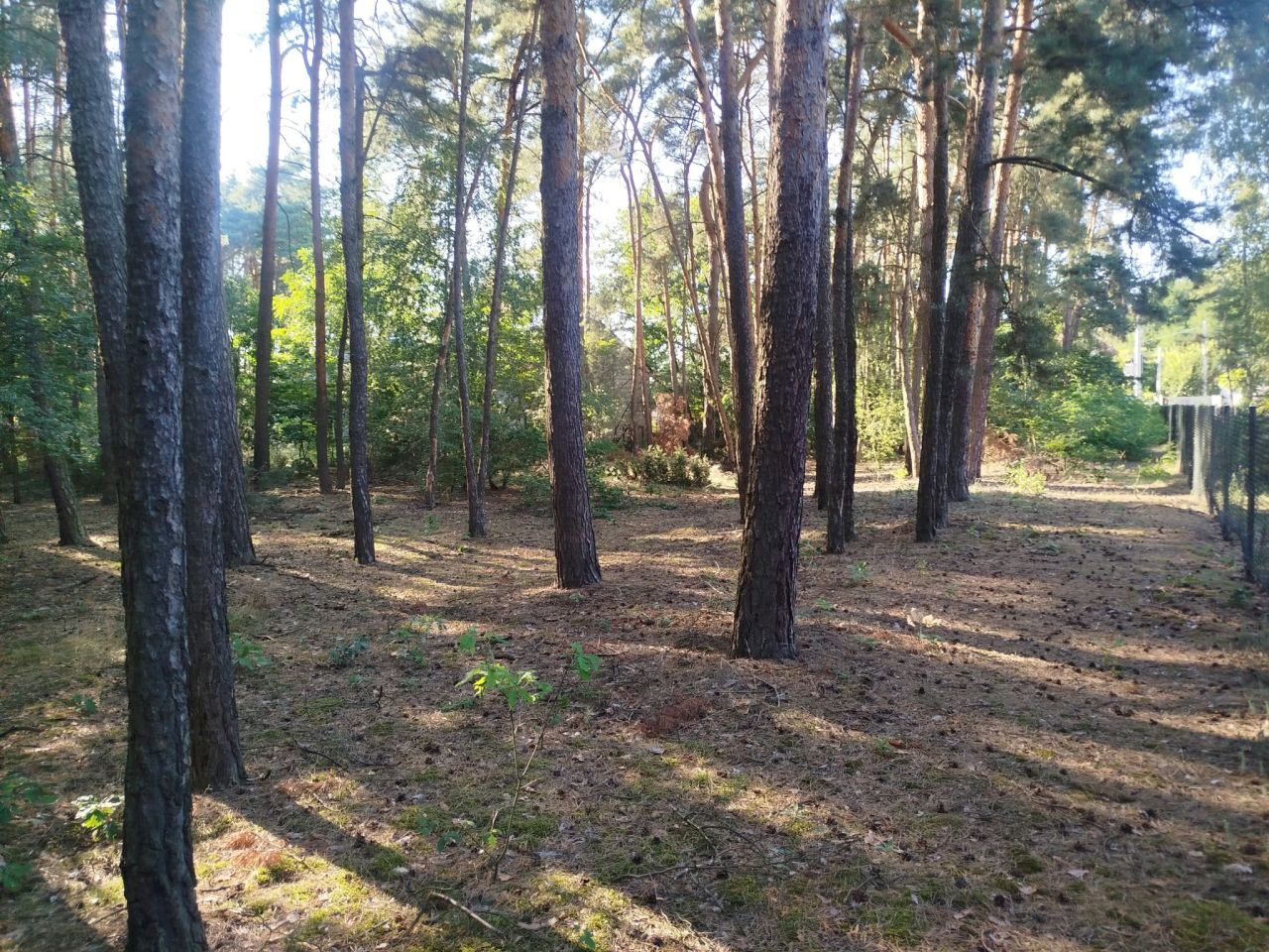 Działka inna Piaski. Zdjęcie 6