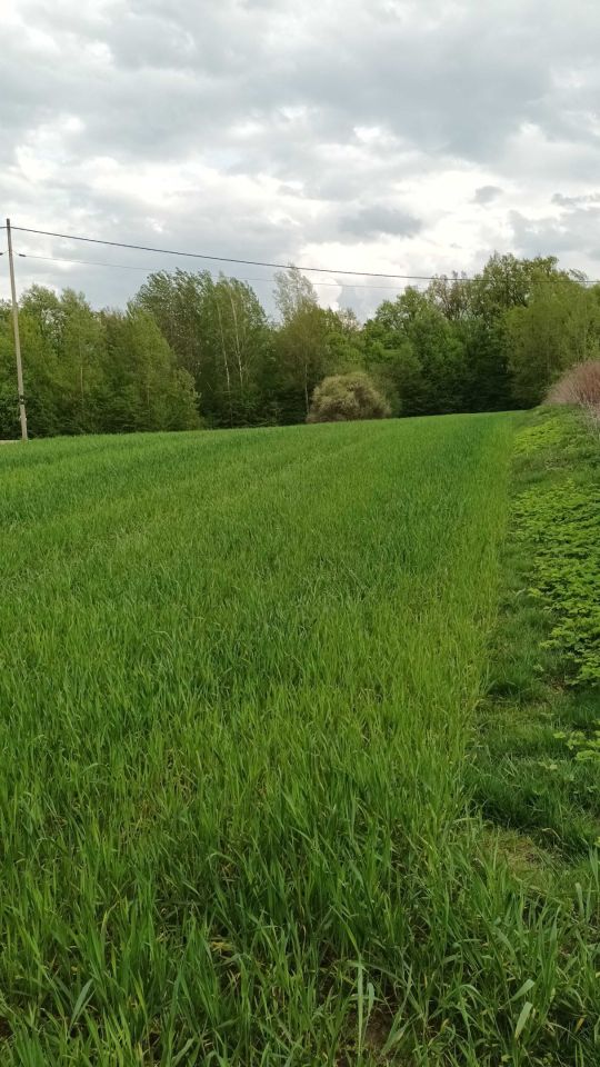 Działka rolna Kazimierz Dolny. Zdjęcie 2