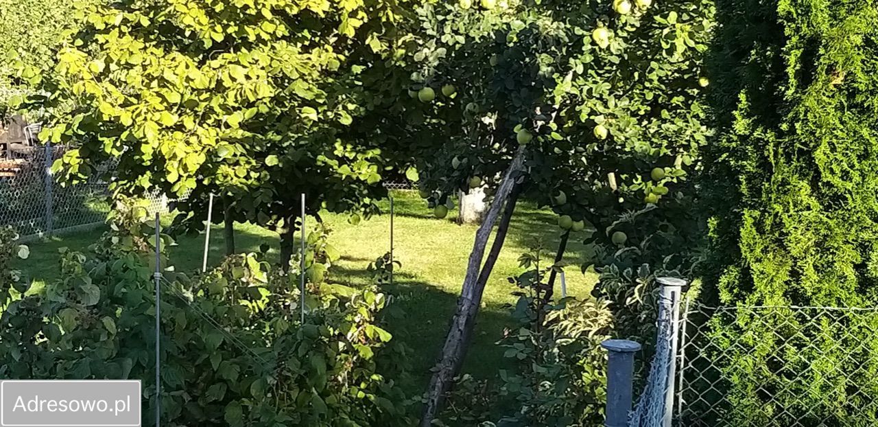 Działka Szczecin Gumieńce, ul. Mierzyńska. Zdjęcie 4