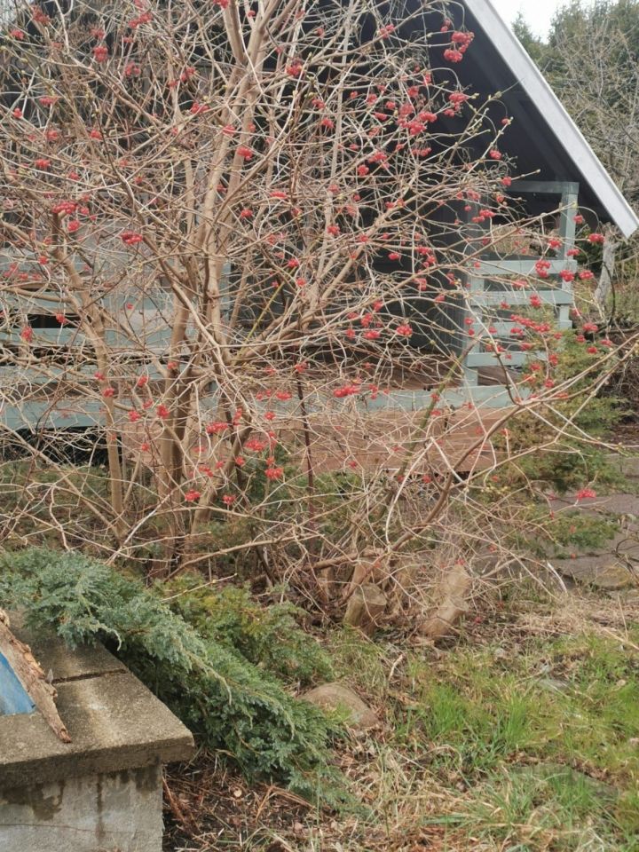 Działka rod Sopot Centrum, ul. Mikołaja Reja. Zdjęcie 5