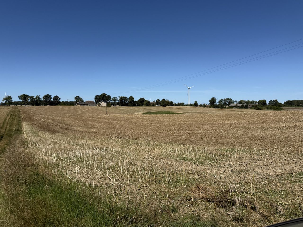 Działka rolna Gąskowo. Zdjęcie 4