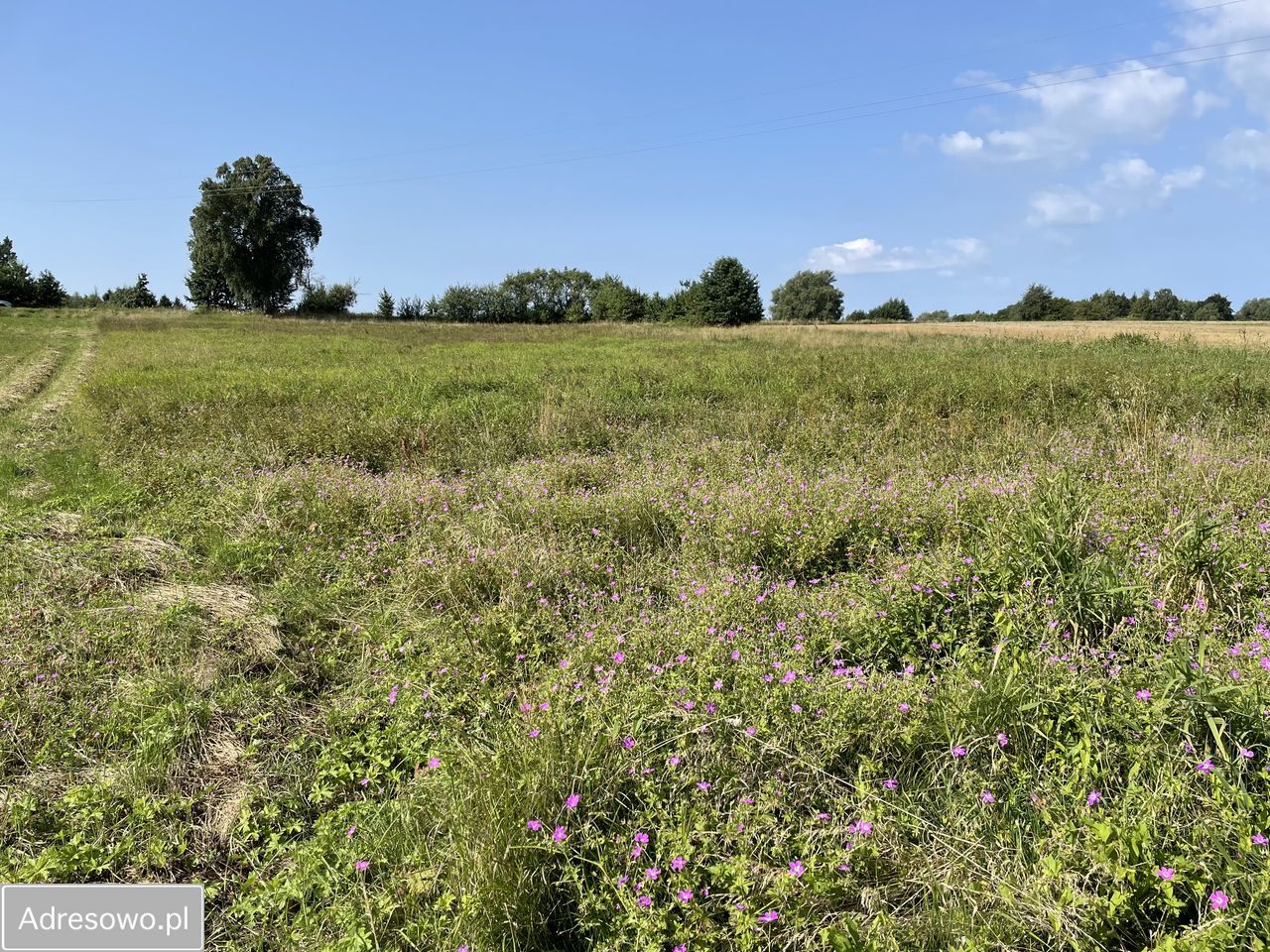 Działka budowlana Gosław. Zdjęcie 4