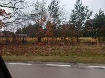 Działka budowlana Siemiatycze, ul. Górna. Zdjęcie 2