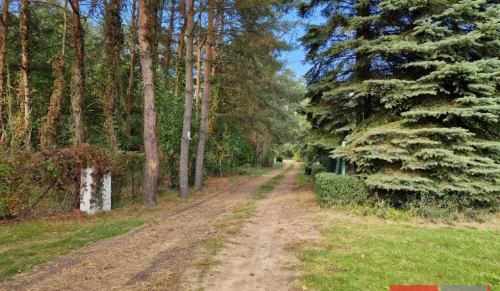 Działka rekreacyjna Sikory, ul. Brzozowa