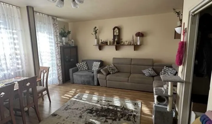 Mieszkanie 2-pokojowe Płońsk, ul. Młodzieżowa