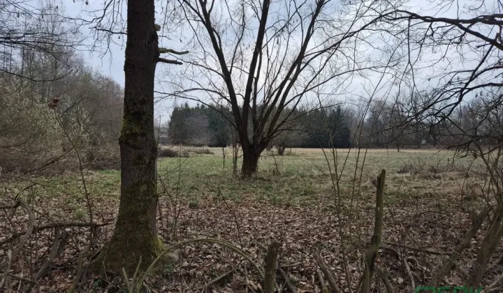 Działka budowlana Kaniów, ul. Stefana Kóski