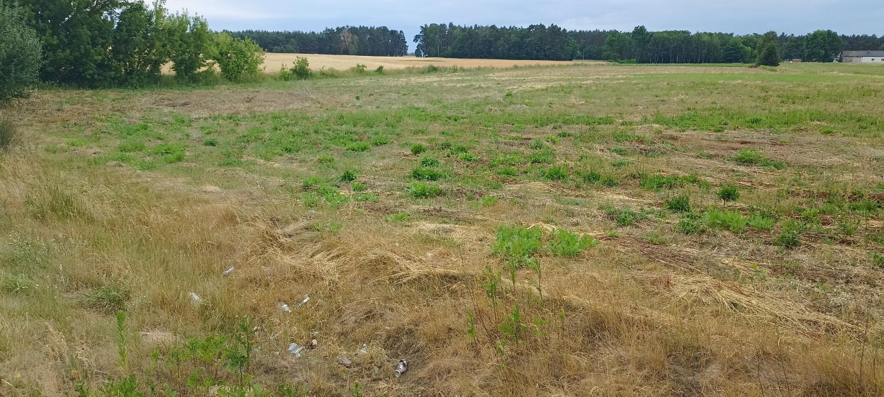 Działka rolno-budowlana Grabowiec. Zdjęcie 6