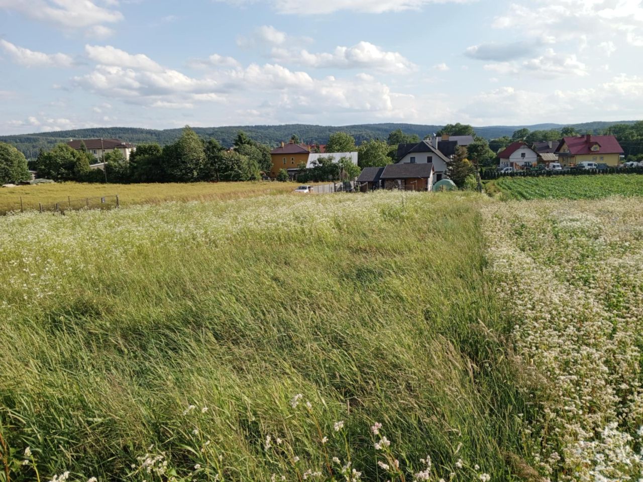 Działka rolna Dubiecko, ul. Przemyska