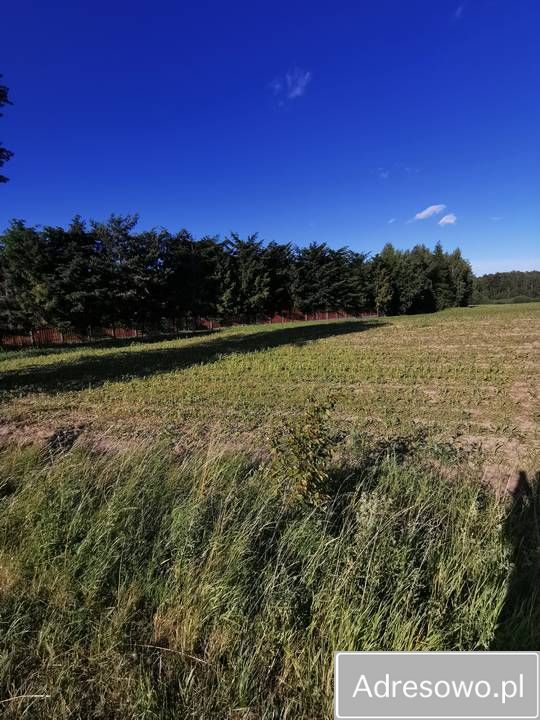 Działka rolna Skarszewy. Zdjęcie 2