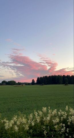 Działka inwestycyjna Bielsko-Biała. Zdjęcie 1