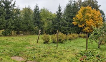 Działka rekreacyjna Plenowo