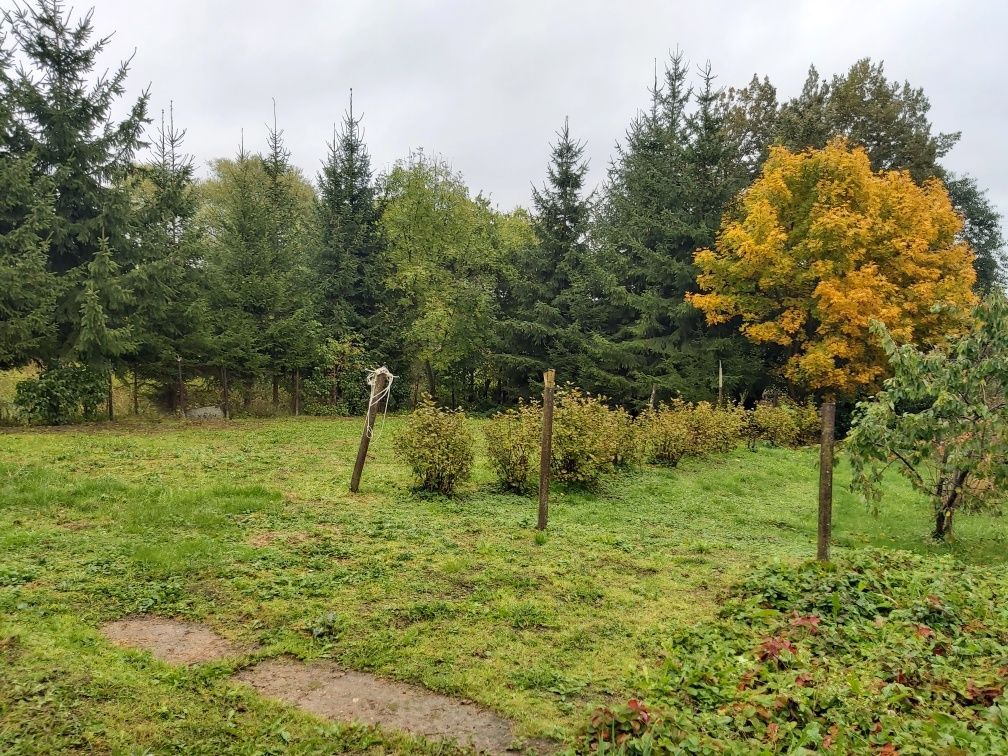 Działka rekreacyjna Plenowo. Zdjęcie 2