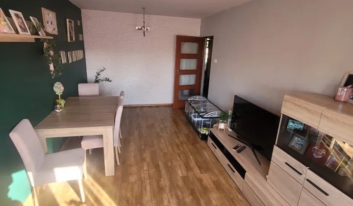 Mieszkanie 2-pokojowe Łódź Teofilów, ul. Rojna