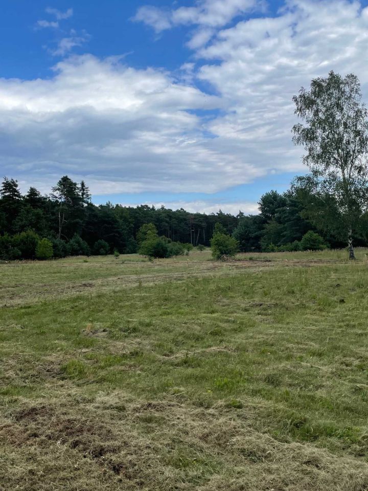 Działka budowlana Nowa Kuźnia. Zdjęcie 4