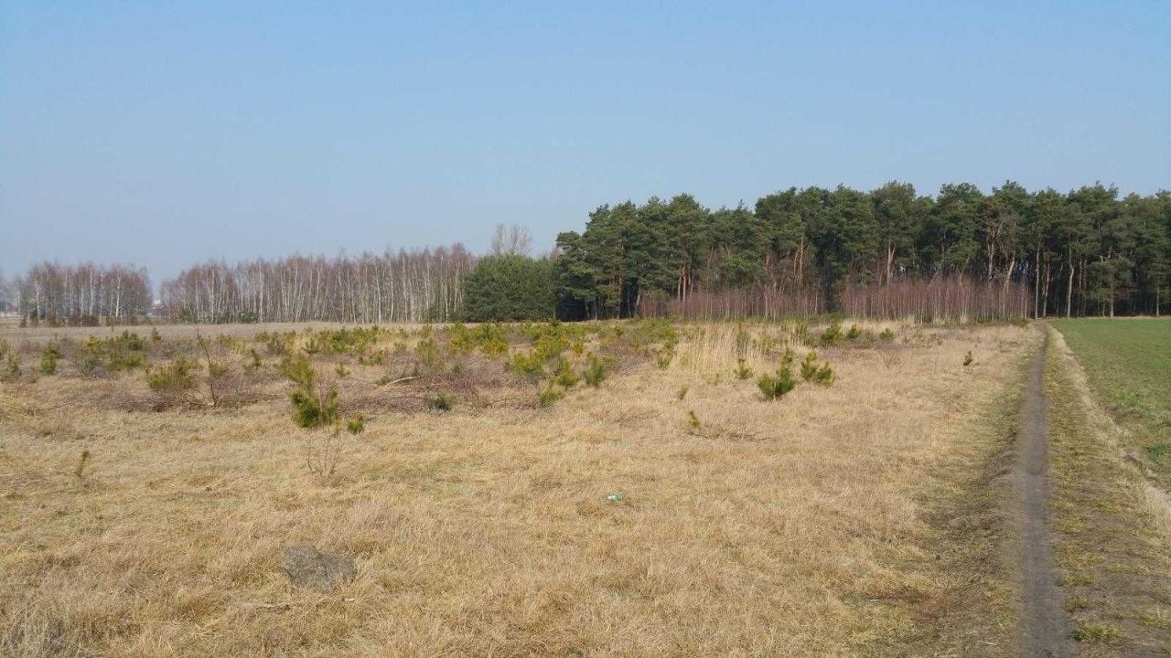 Działka budowlana Powiercie. Zdjęcie 3