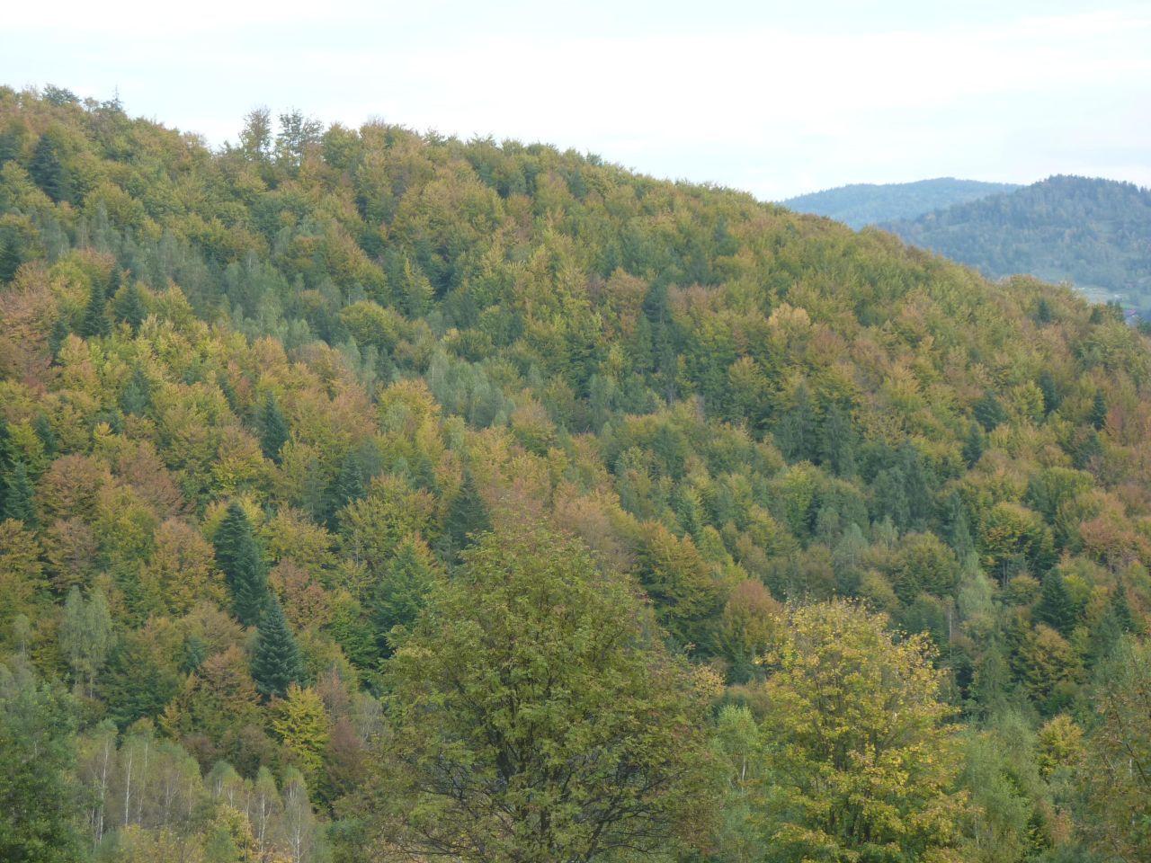 Działka rolna Pewel Wielka Garleje. Zdjęcie 14