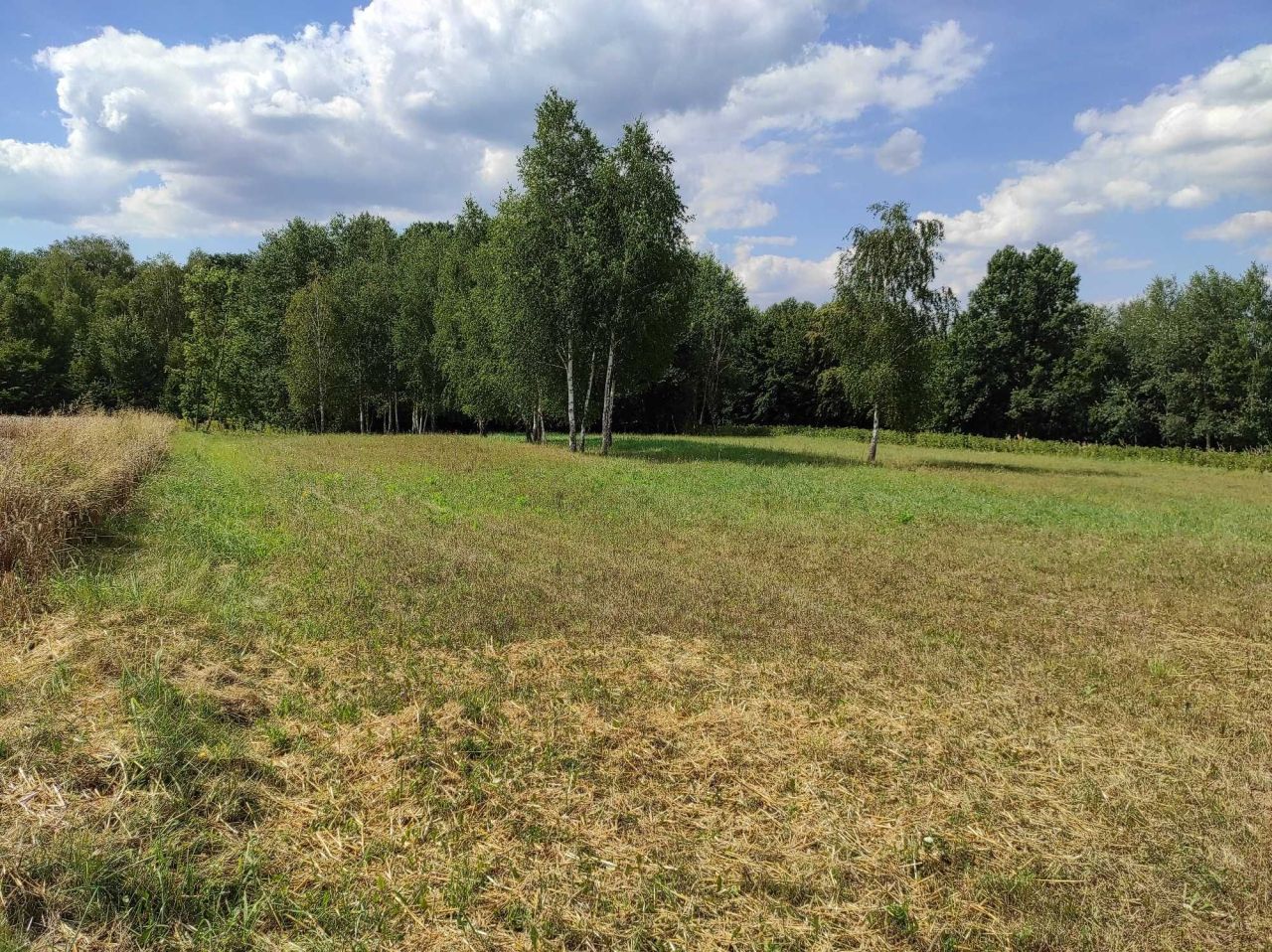 Działka rolna Rąblów. Zdjęcie 8