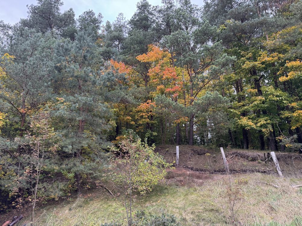 dom wolnostojący, 5 pokoi Obłęże. Zdjęcie 4