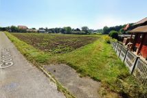 Działka rolno-budowlana Bełk Wysoka. Zdjęcie 1