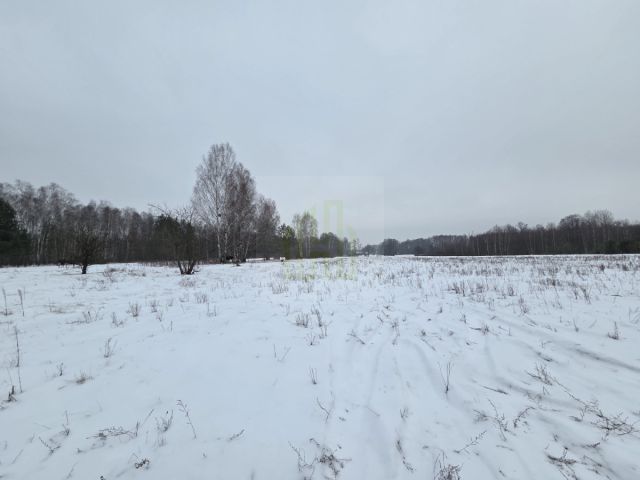 Działka rolna Stare Budy Radziejowskie. Zdjęcie 5