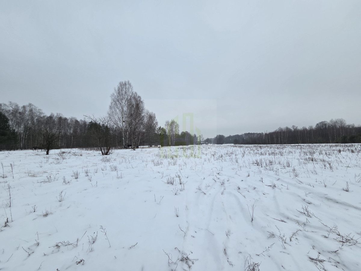 Działka rolna Stare Budy Radziejowskie. Zdjęcie 5