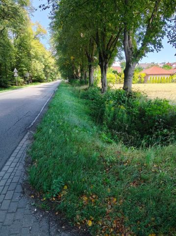 Działka rolno-budowlana Żabia Wola. Zdjęcie 1
