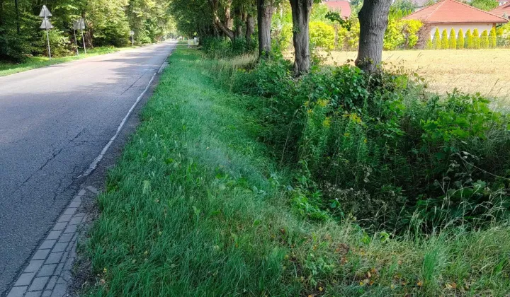 Działka rolno-budowlana Żabia Wola
