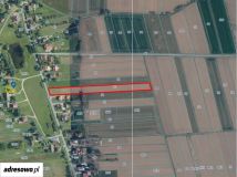 Działka rolno-budowlana Bessów. Zdjęcie 2