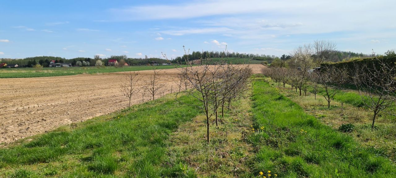 Działka inwestycyjna Celejów